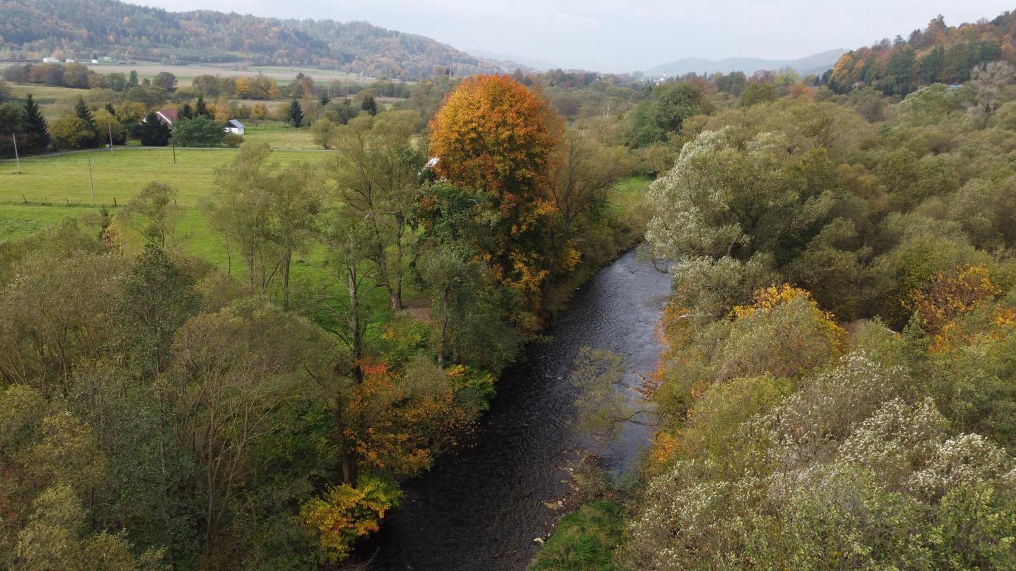 Zielonapogoda Lądek-Zdrój Exterior foto